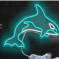 Orca